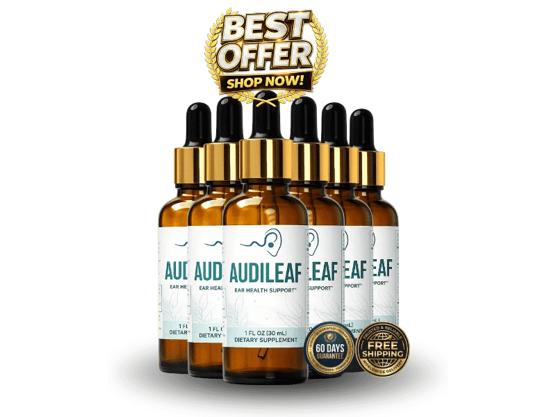  AudiLeaf buy